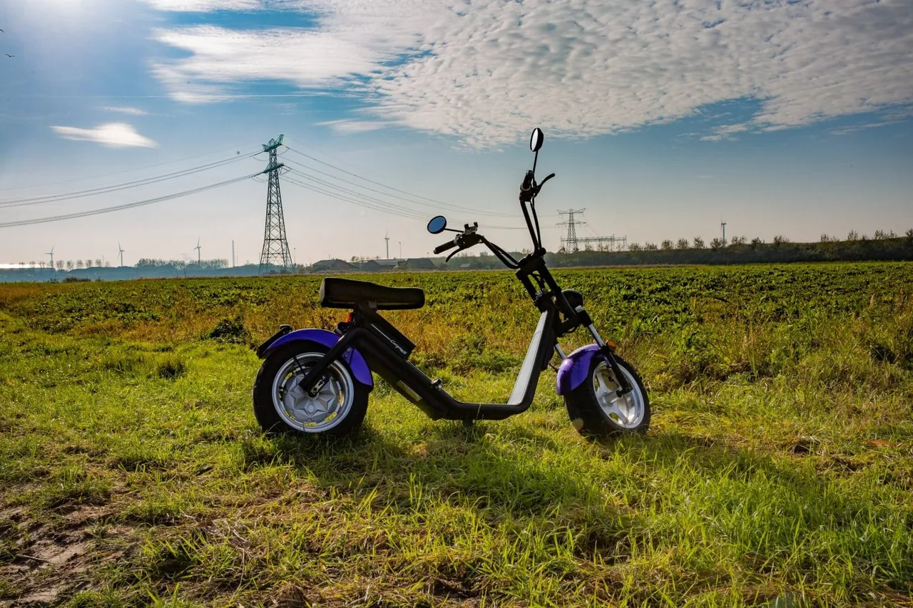 Fred’s Verhuur E-Chopper in the polder