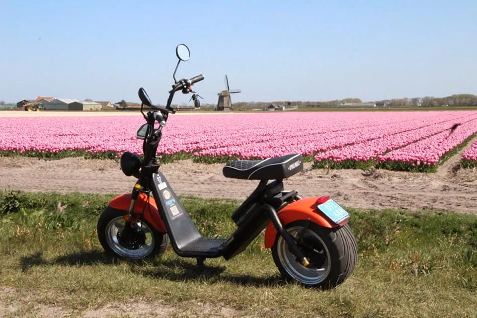 E-Chopper bij een roze tulpenveld met molen