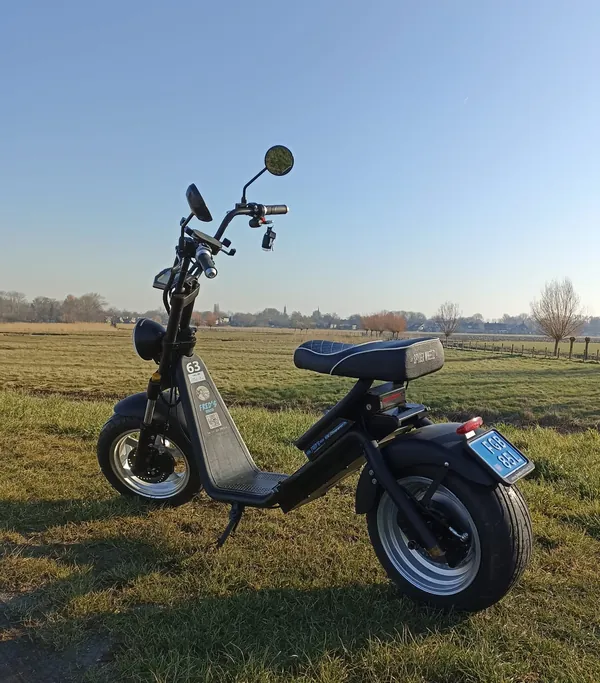 E-Chopper in het weiland