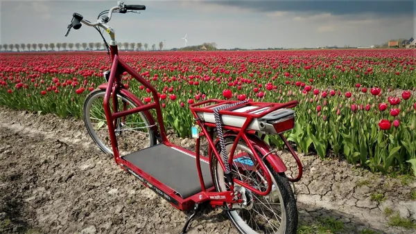 Rode E-Walker in een rood tulpenveld