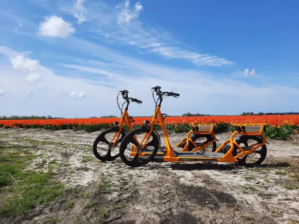 E-Walkers bij een oranje tulpenveld